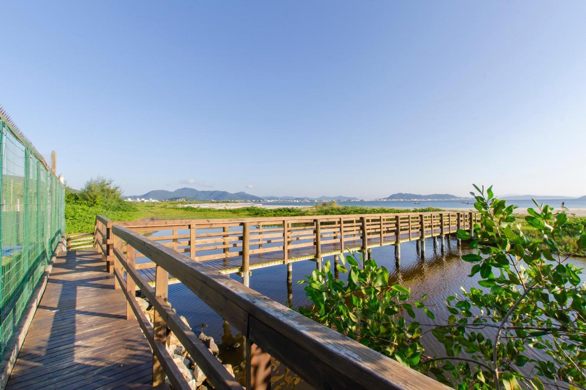 Apto Pe Na Areia Em Condominio Com Piscina N1298 Florianópolis Exteriér fotografie
